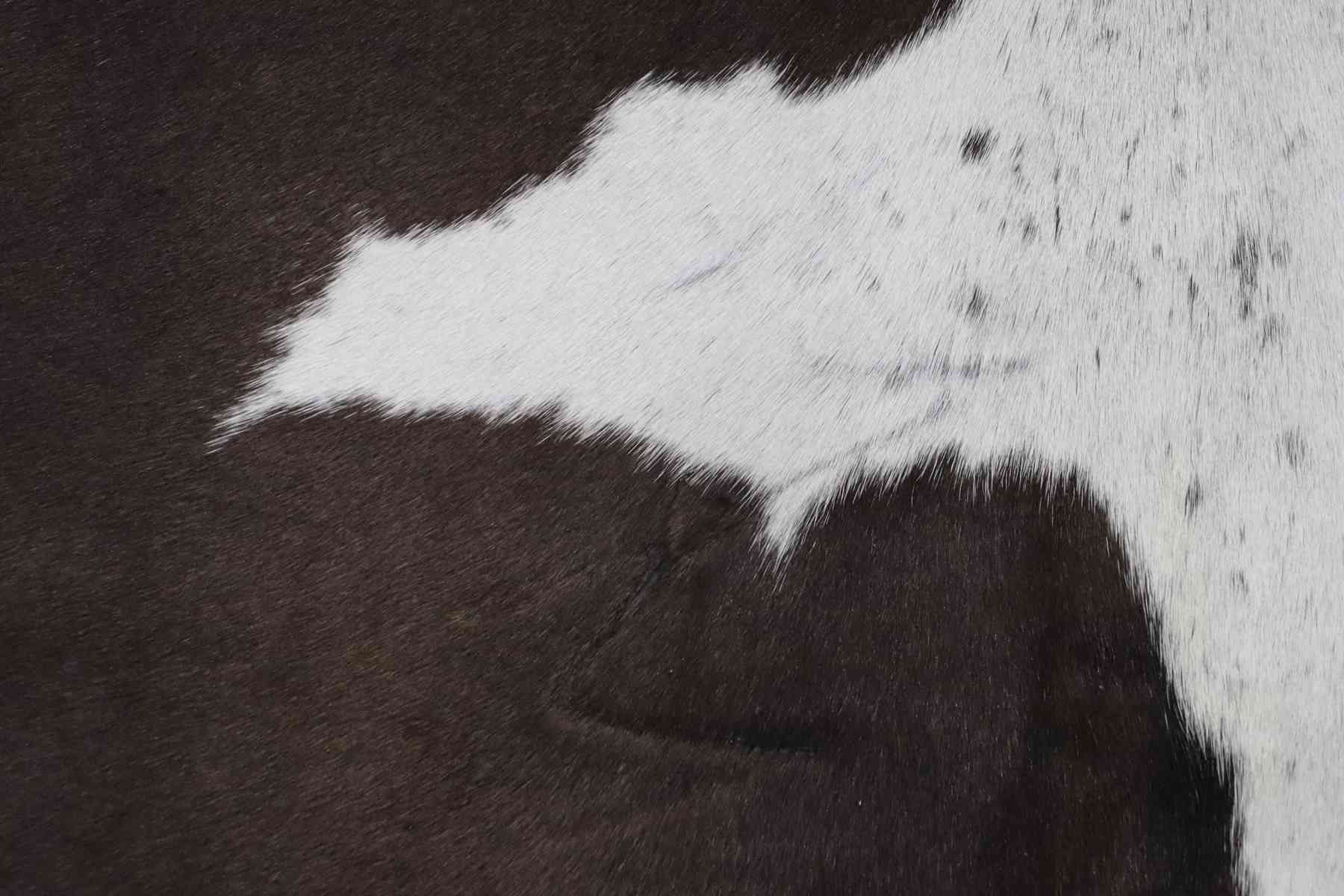 Tricolor (6.11 X 5.8 ft.) Exact As Photo BRAZILIAN Cowhide Rug | 100% Natural Cowhide Area Rug | Real Leather Cow Skin Rug | BZ179