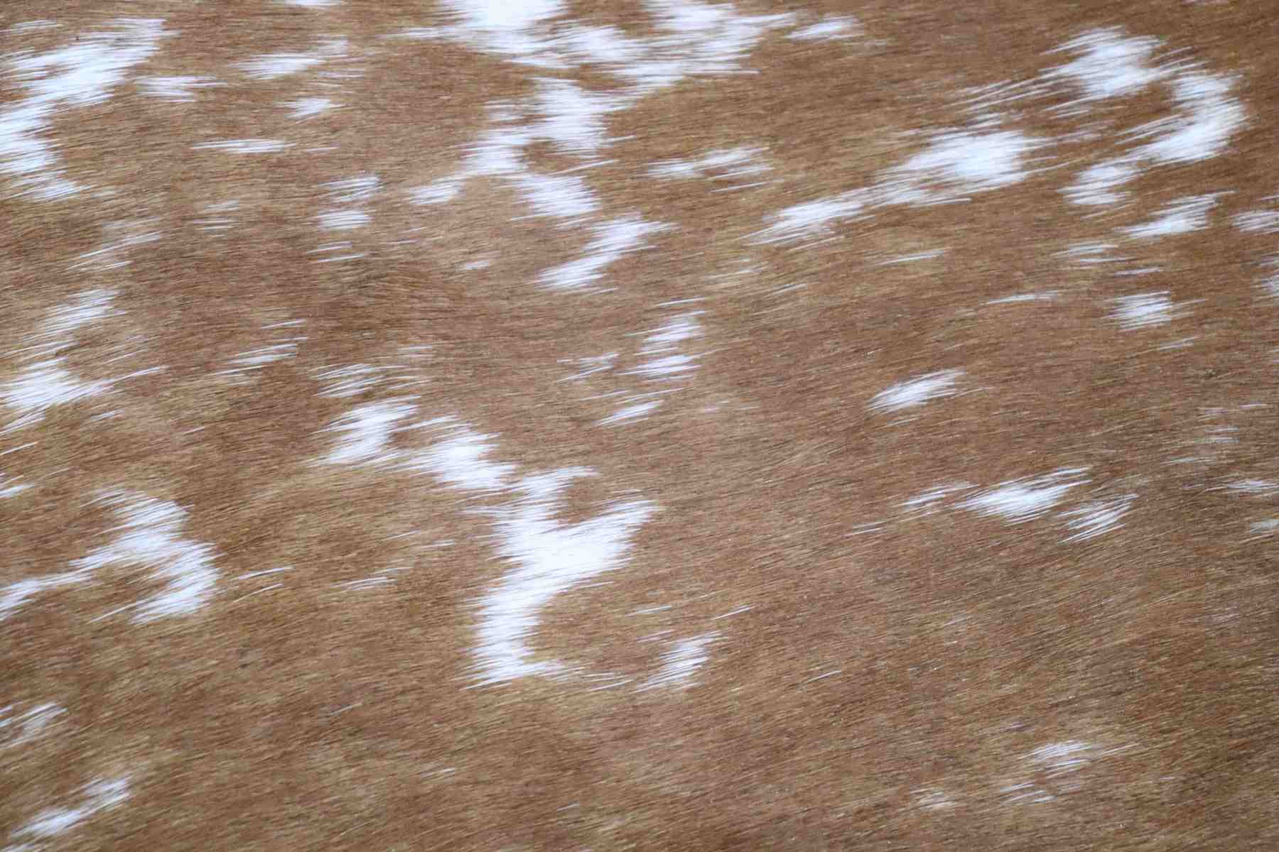 Brown White (6.9 X 5.4 ft.) Exact As Photo BRAZILIAN Cowhide Rug | 100% Natural Cowhide Area Rug | Real Leather Cow Skin Rug | BZ182