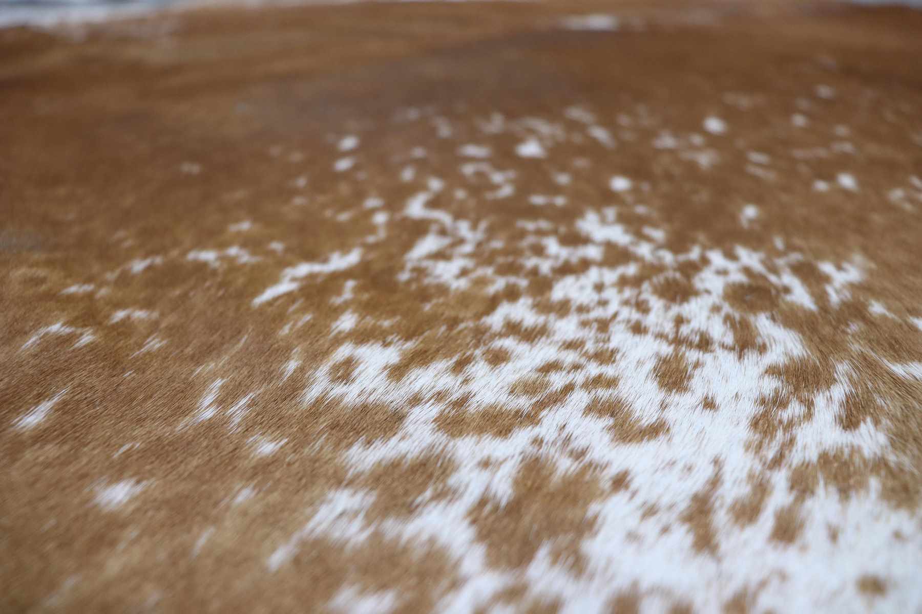 Brown White (6.9 X 5.4 ft.) Exact As Photo BRAZILIAN Cowhide Rug | 100% Natural Cowhide Area Rug | Real Leather Cow Skin Rug | BZ182