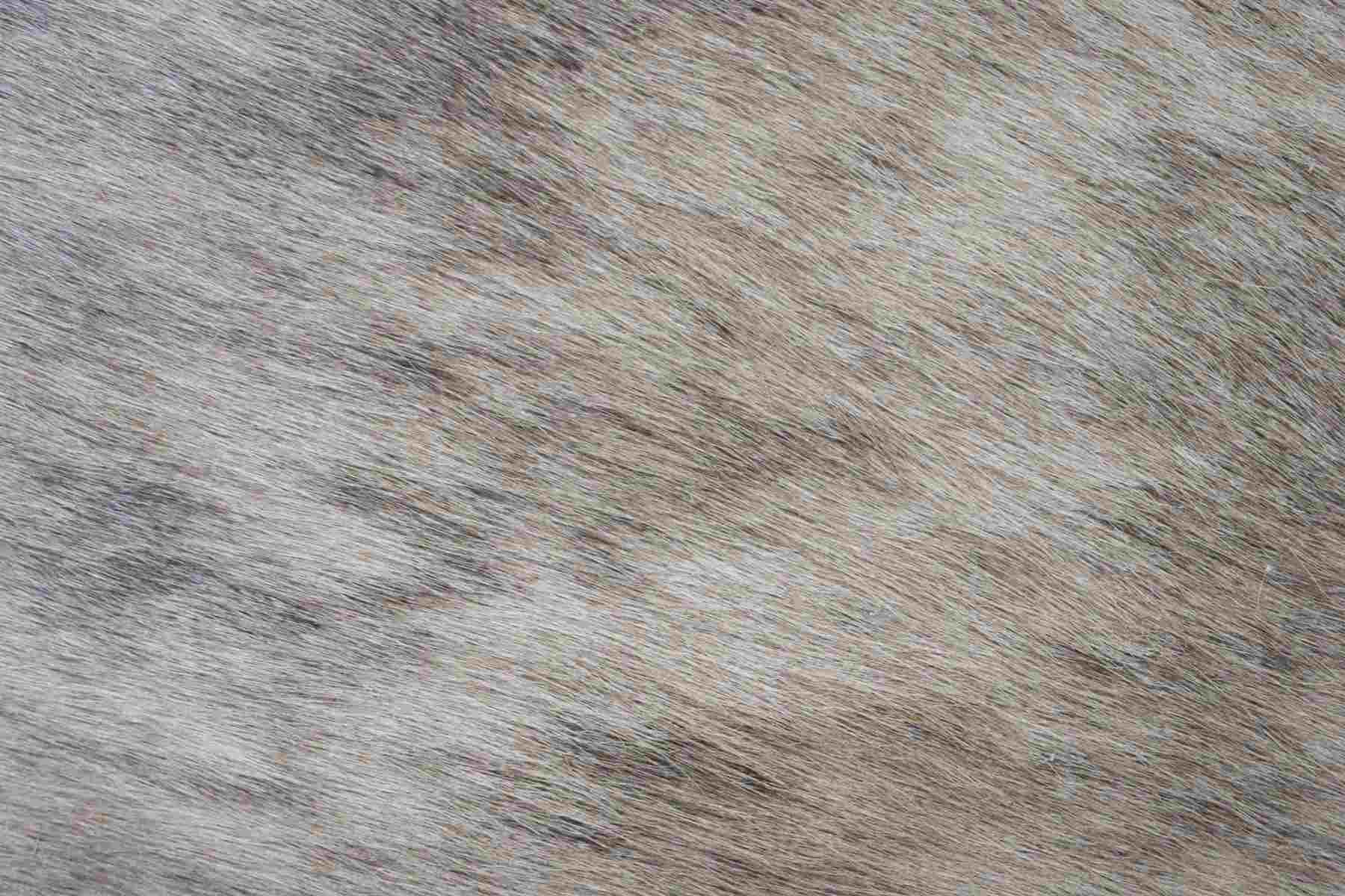 Beige Brown (6.6 X 6.7 ft.) Exact As Photo BRAZILIAN Cowhide Rug | 100% Natural Cowhide Area Rug | Real Leather Cow Skin Rug | BZ193