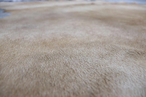 Beige Brown (6.10 X 6.9 ft.) Exact As Photo BRAZILIAN Cowhide Rug | 100% Natural Cowhide Area Rug | Real Leather Cow Skin Rug | BZ196