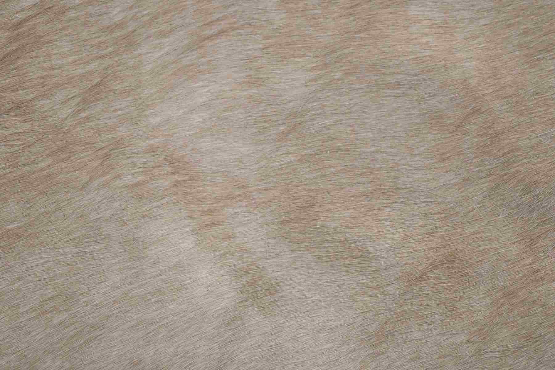 Light Brown White (7 X 5.11 ft.) Exact As Photo BRAZILIAN Cowhide Rug | 100% Natural Cowhide Area Rug | Real Leather Cow Skin Rug | BZ201