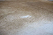 Load image into Gallery viewer, Light Brown White (7 X 5.11 ft.) Exact As Photo BRAZILIAN Cowhide Rug | 100% Natural Cowhide Area Rug | Real Leather Cow Skin Rug | BZ201
