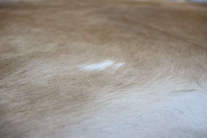 Light Brown White (7 X 5.11 ft.) Exact As Photo BRAZILIAN Cowhide Rug | 100% Natural Cowhide Area Rug | Real Leather Cow Skin Rug | BZ201