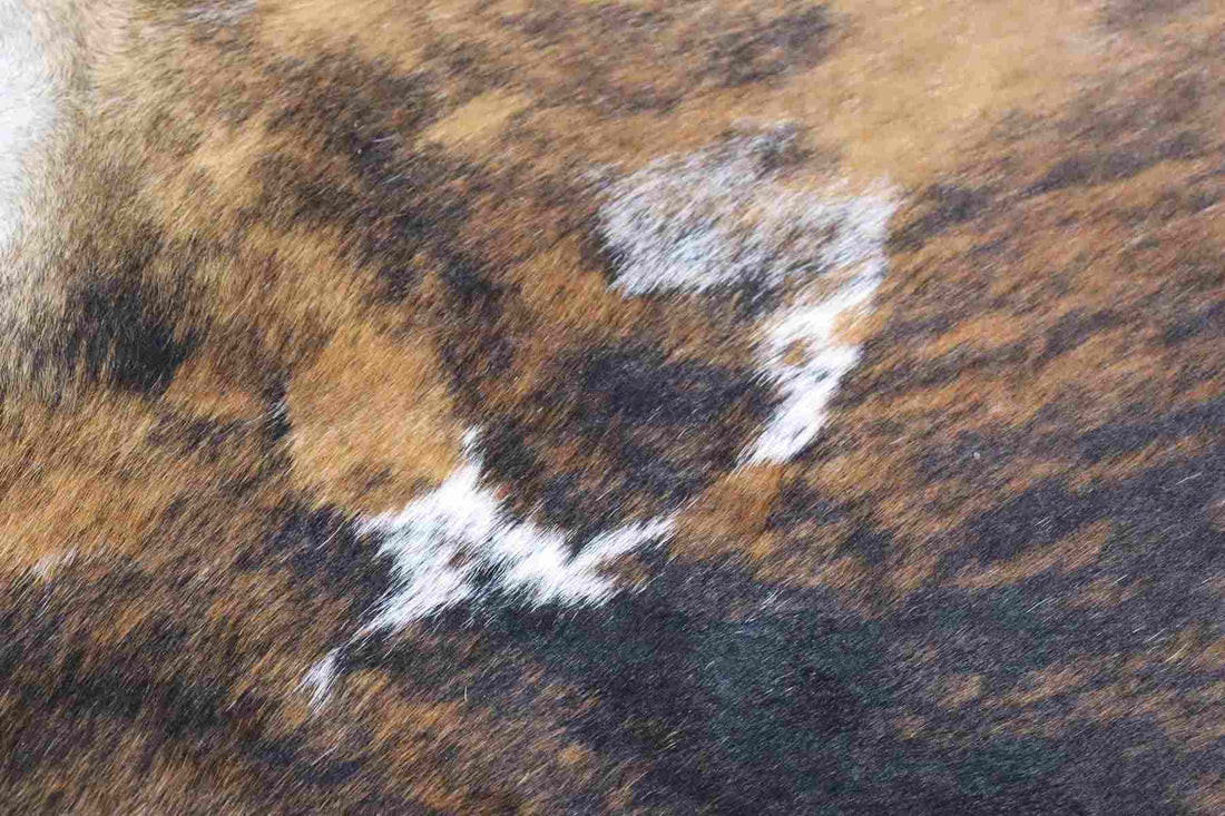 Tricolor Brindle (7.10 X 7.10 ft.) Exact As Photo BRAZILIAN Cowhide Rug | 100% Natural Cowhide Area Rug | Real Leather Cow Skin Rug | BZ204