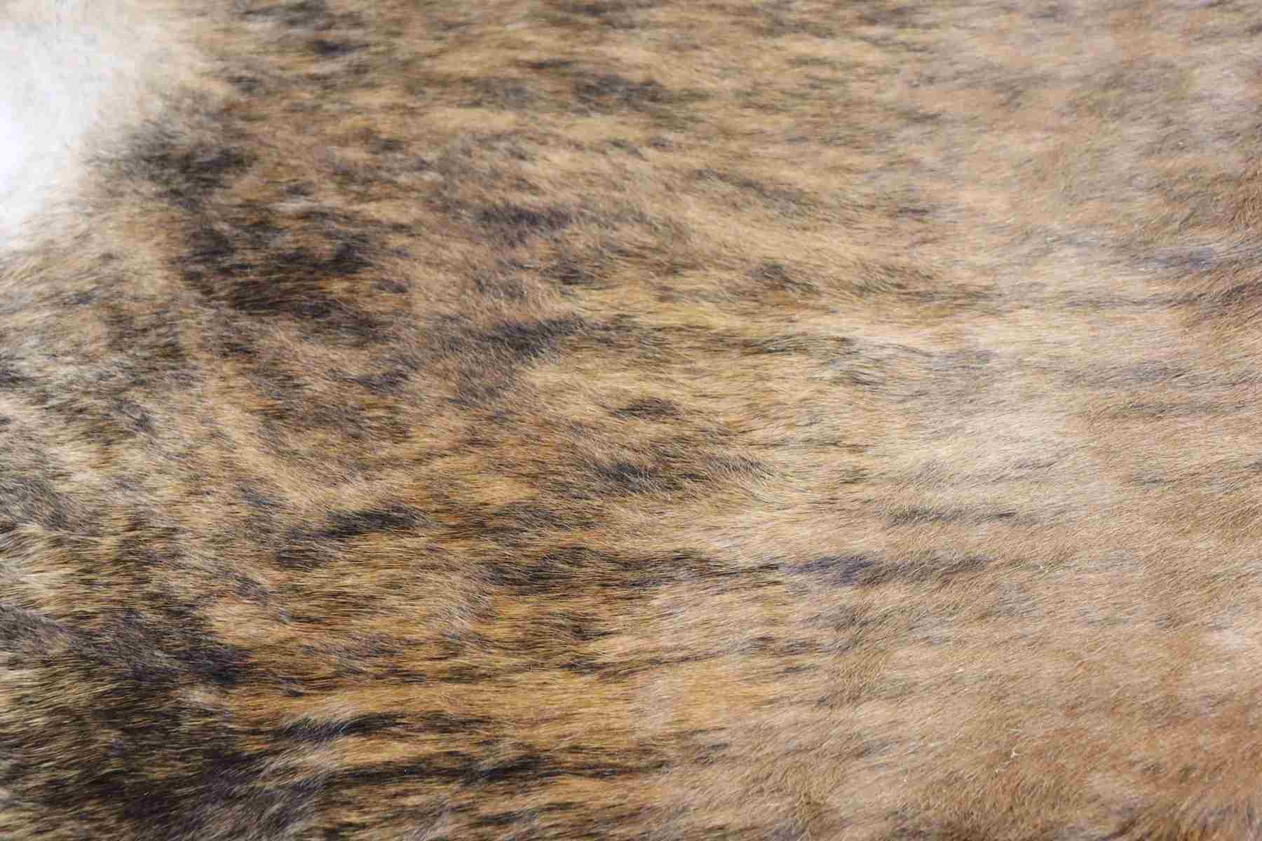Brown Brindle (7.11 X 7.8 ft.) Exact As Photo BRAZILIAN Cowhide Rug | 100% Natural Cowhide Area Rug | Real Leather Cow Skin Rug | BZ209