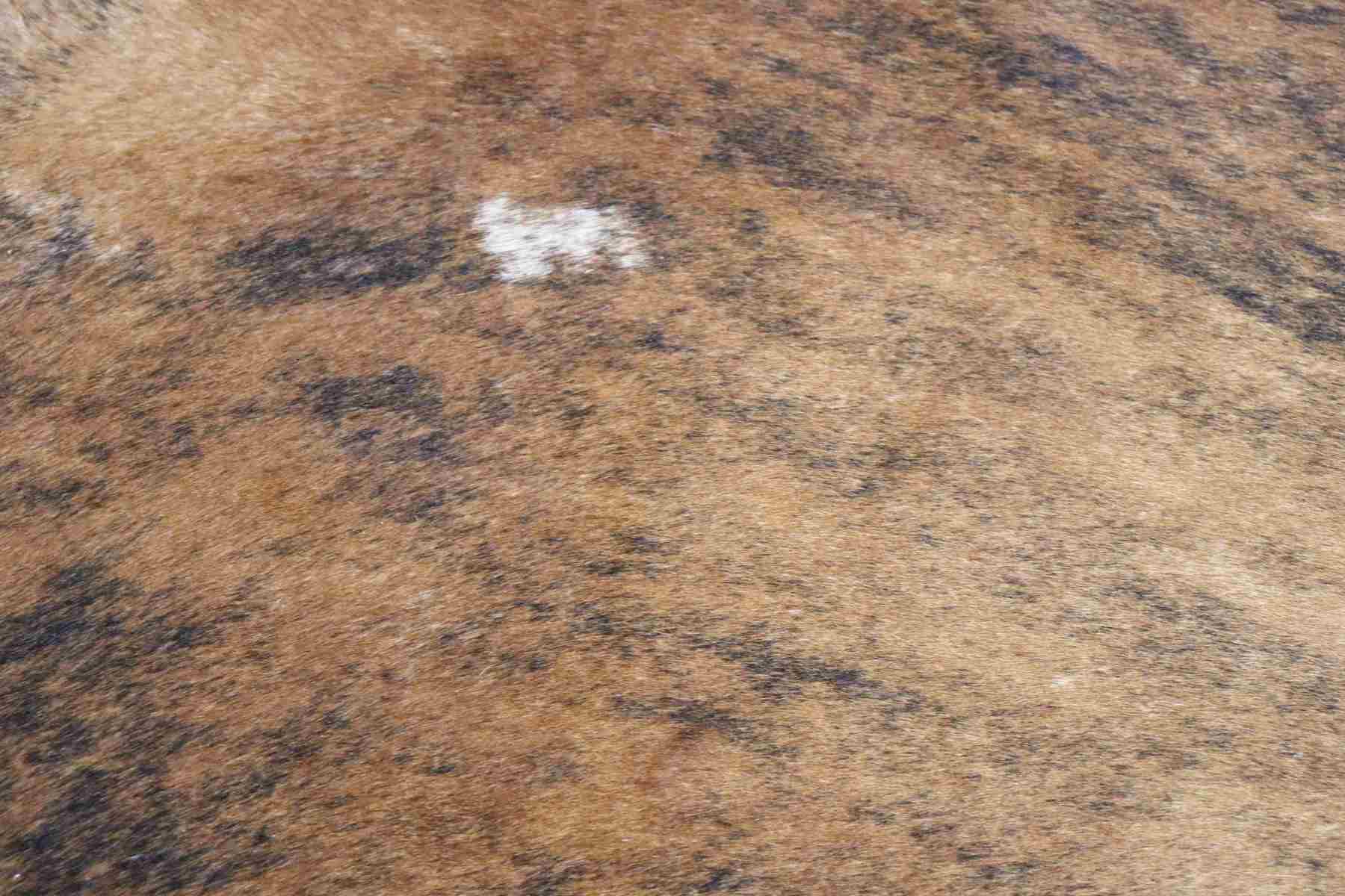 Brown Brindle (8.8 X 7.6 ft.) Exact As Photo BRAZILIAN Cowhide Rug | 100% Natural Cowhide Area Rug | Real Leather Cow Skin Rug | BZ211