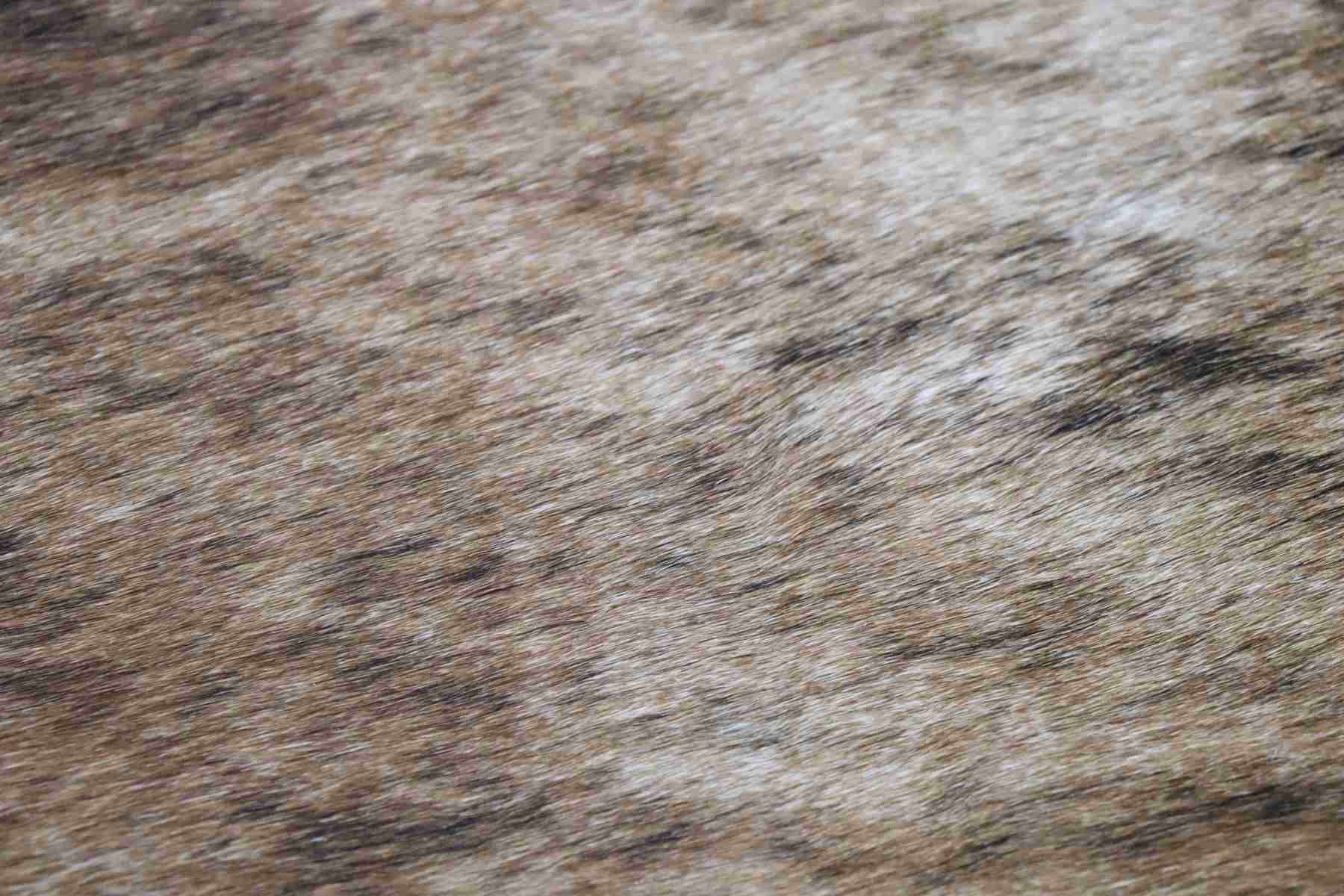 Brindle (6.10 X 5.2 ft.) Exact As Photo BRAZILIAN Cowhide Rug | 100% Natural Cowhide Area Rug | Real Leather Cow Skin Rug | BZ222
