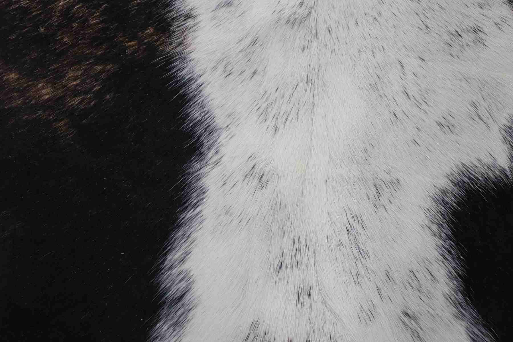 Tricolor (6 X 5.10 ft.) Exact As Photo BRAZILIAN Cowhide Rug | 100% Natural Cowhide Area Rug | Real Leather Cow Skin Rug | BZ226