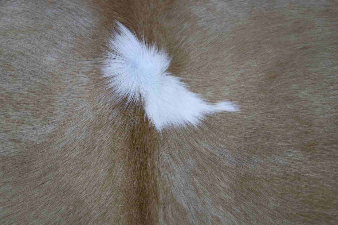 Brown White (6.7 X 5.9 ft.) Exact As Photo BRAZILIAN Cowhide Rug | 100% Natural Cowhide Area Rug | Real Leather Cow Skin Rug | BZ227