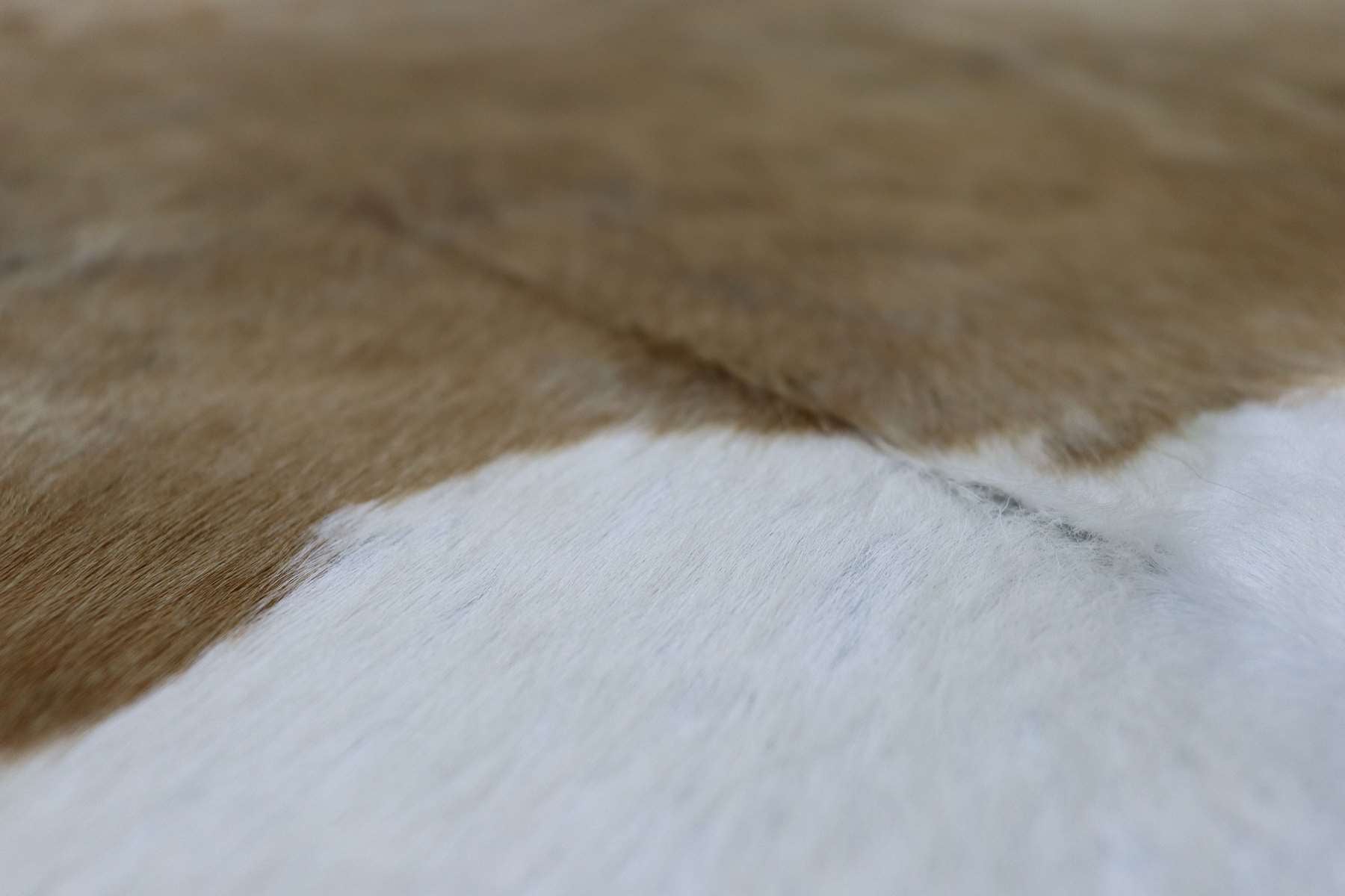 Brown White (6.7 X 5.9 ft.) Exact As Photo BRAZILIAN Cowhide Rug | 100% Natural Cowhide Area Rug | Real Leather Cow Skin Rug | BZ227