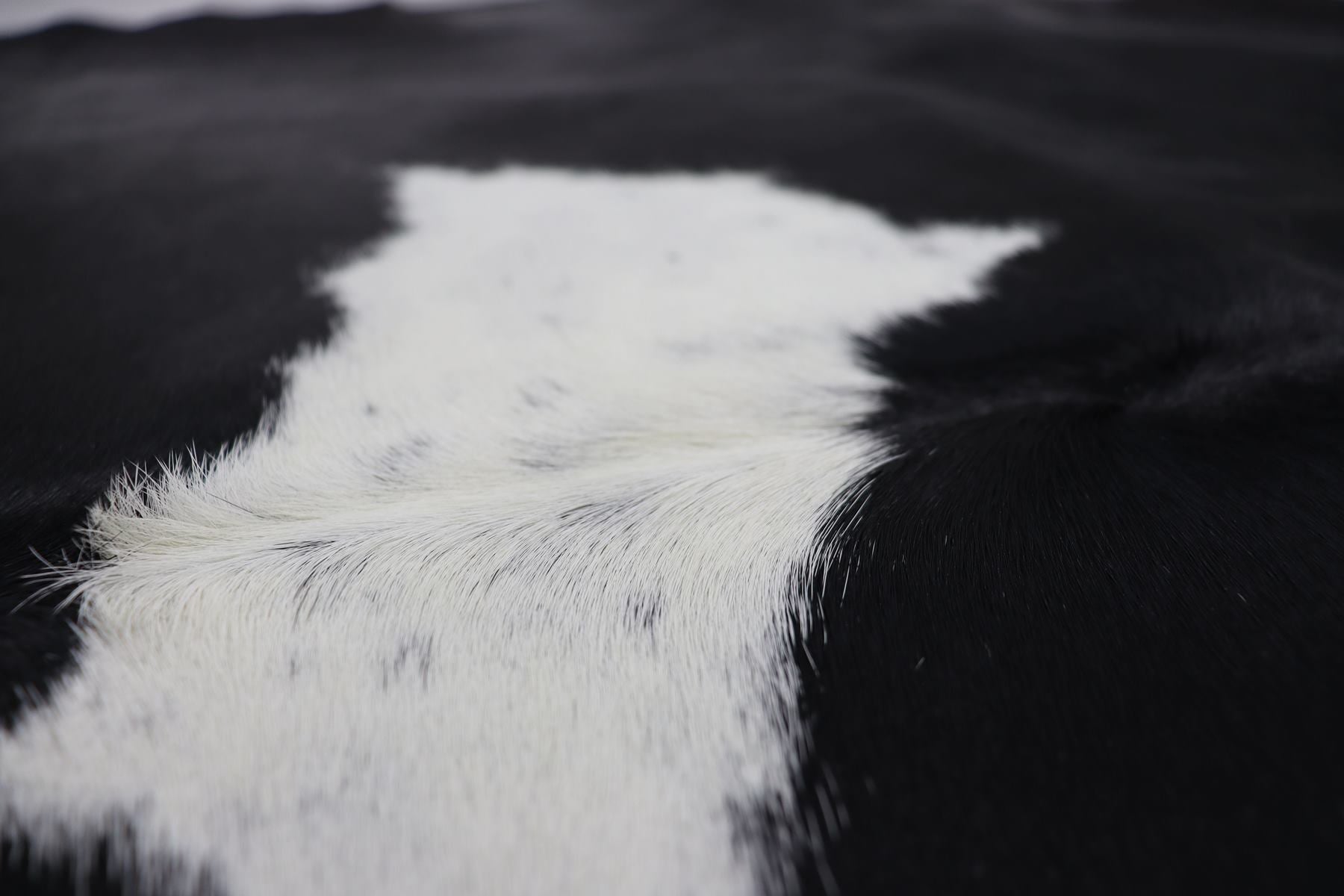 Black White (6.8 X 6.1 ft.) Exact As Photo BRAZILIAN Cowhide Rug | 100% Natural Cowhide Area Rug | Real Leather Cow Skin Rug | BZ228