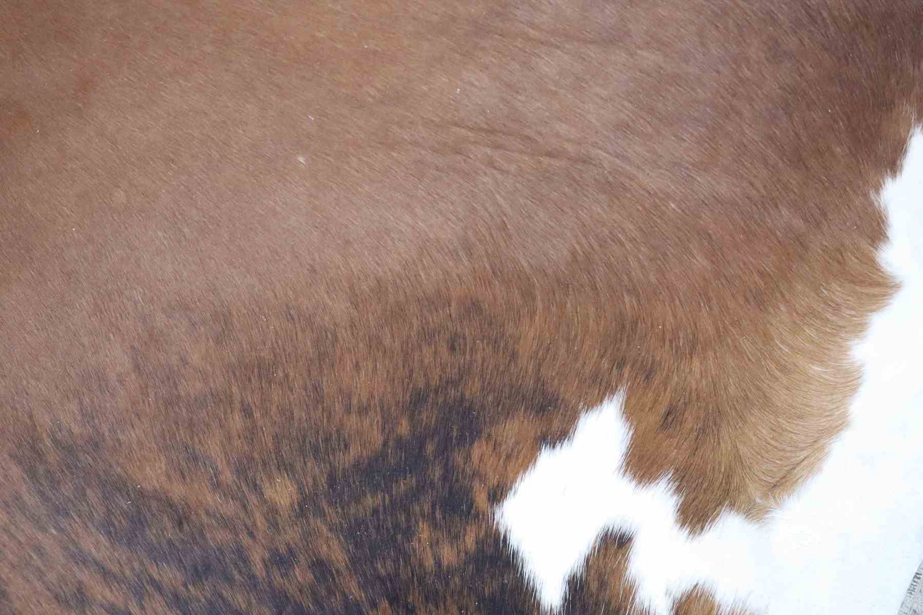 Brown White (6.10 X 6.1 ft.) Exact As Photo BRAZILIAN Cowhide Rug | 100% Natural Cowhide Area Rug | Real Leather Cow Skin Rug | BZ230