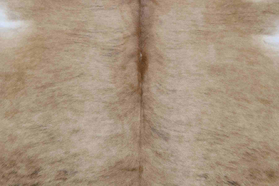 Brown Beige White (6.9 X 6.2 ft.) Exact As Photo BRAZILIAN Cowhide Rug | 100% Natural Cowhide Area Rug | Real Leather Cow Skin Rug | BZ231