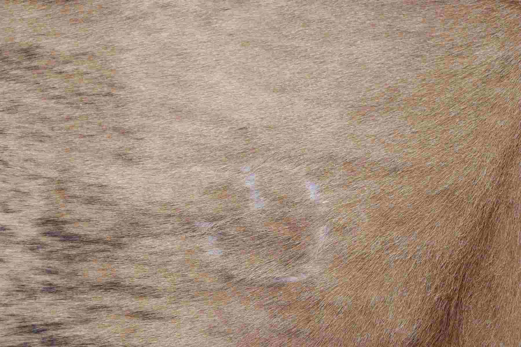 Brown Beige White (6.9 X 6.2 ft.) Exact As Photo BRAZILIAN Cowhide Rug | 100% Natural Cowhide Area Rug | Real Leather Cow Skin Rug | BZ231