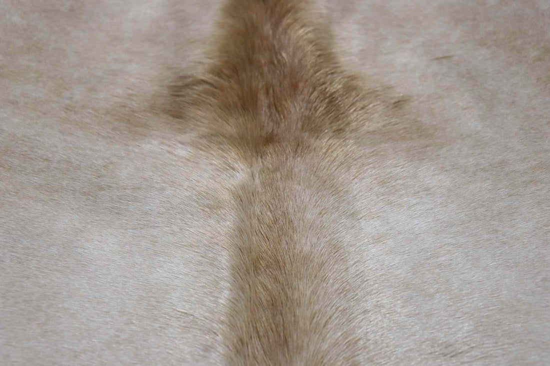 Light Brown White (6.6 X 5.6 ft.) Exact As Photo BRAZILIAN Cowhide Rug | 100% Natural Cowhide Area Rug | Real Leather Cow Skin Rug | BZ234