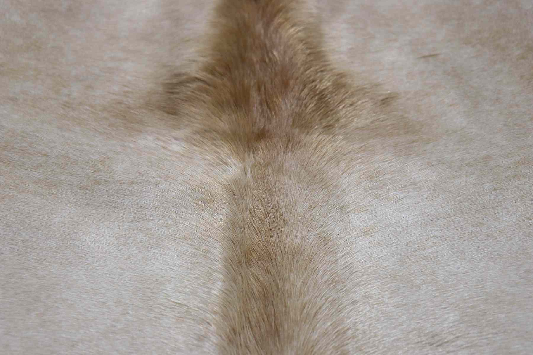 Light Brown White (6.6 X 5.6 ft.) Exact As Photo BRAZILIAN Cowhide Rug | 100% Natural Cowhide Area Rug | Real Leather Cow Skin Rug | BZ234