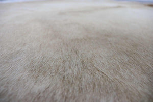 Light Brown White (6.6 X 5.6 ft.) Exact As Photo BRAZILIAN Cowhide Rug | 100% Natural Cowhide Area Rug | Real Leather Cow Skin Rug | BZ234