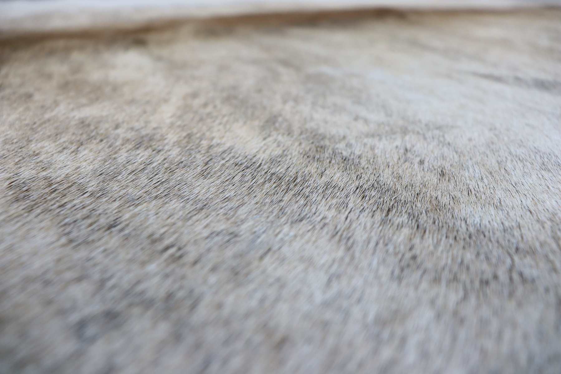 Light Brown White Brindle (6.7 X 6.11 ft.) Exact As Photo BRAZILIAN Cowhide Rug | 100% Natural Cowhide Area Rug | Real Leather Cow Skin Rug | BZ238