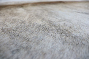 Light Brown White Brindle (6.7 X 6.11 ft.) Exact As Photo BRAZILIAN Cowhide Rug | 100% Natural Cowhide Area Rug | Real Leather Cow Skin Rug | BZ238