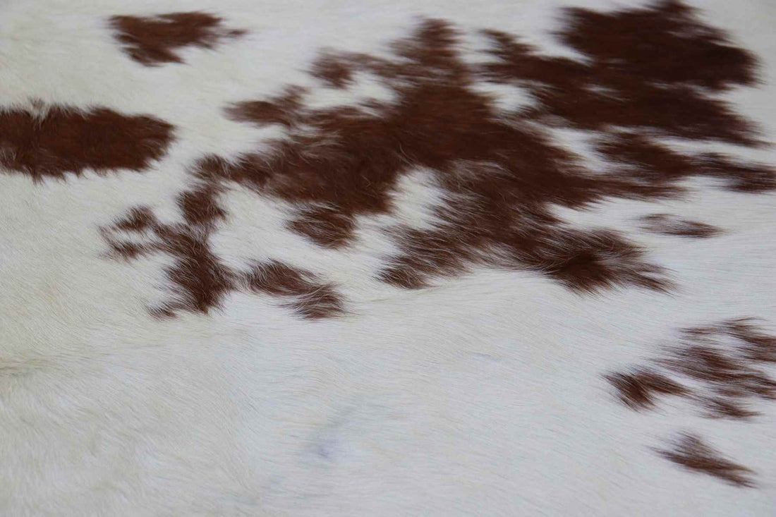 Brown White (6.10 X 6.9 ft.) Exact As Photo BRAZILIAN Cowhide Rug | 100% Natural Cowhide Area Rug | Real Leather Cow Skin Rug | BZ242