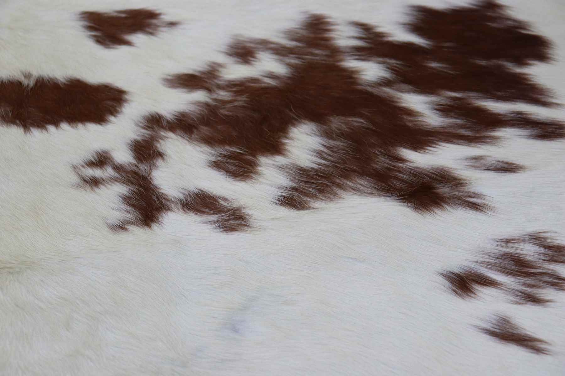 Brown White (6.10 X 6.9 ft.) Exact As Photo BRAZILIAN Cowhide Rug | 100% Natural Cowhide Area Rug | Real Leather Cow Skin Rug | BZ242