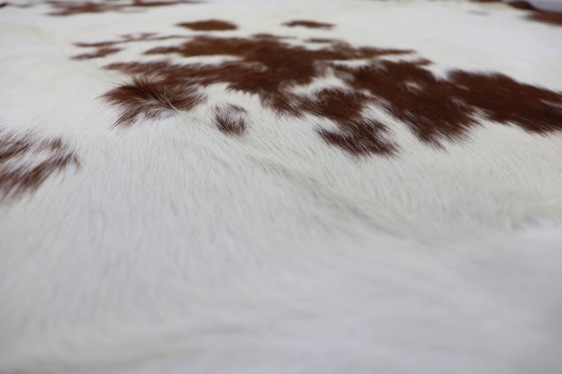 Brown White (6.10 X 6.9 ft.) Exact As Photo BRAZILIAN Cowhide Rug | 100% Natural Cowhide Area Rug | Real Leather Cow Skin Rug | BZ242