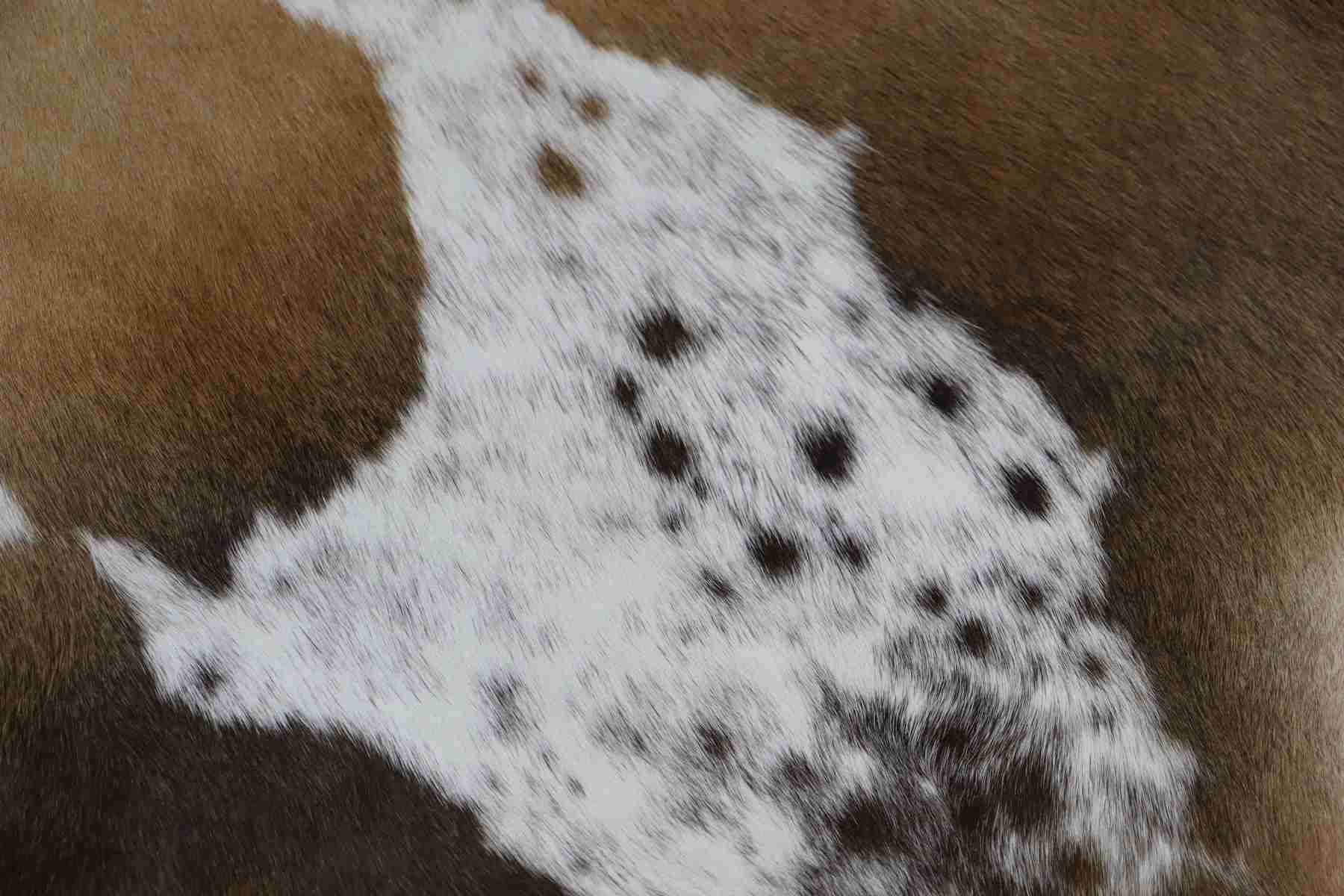 Tricolor (7.3 X 5.11 ft.) Exact As Photo BRAZILIAN Cowhide Rug | 100% Natural Cowhide Area Rug | Real Leather Cow Skin Rug | BZ247
