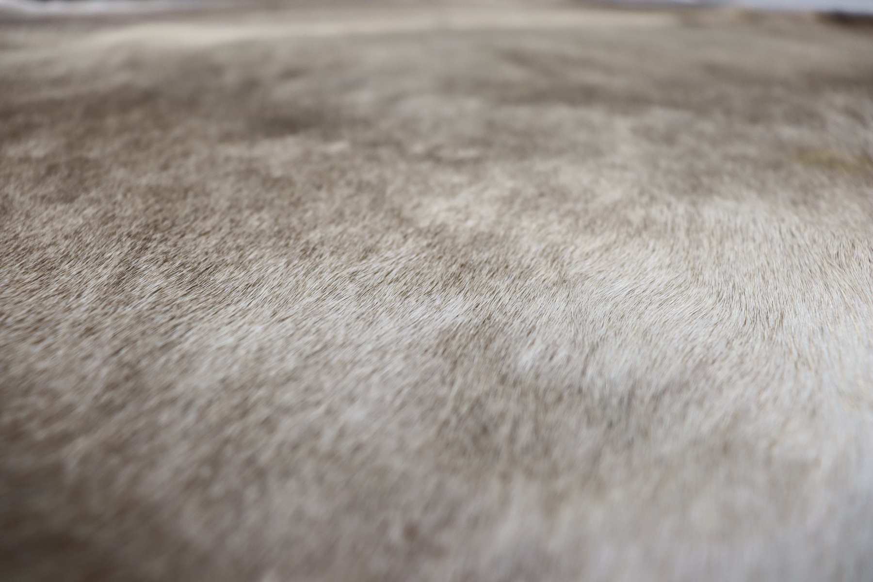 (6.9 X 5.8 ft.) Exact As Photo BRAZILIAN Cowhide Rug | 100% Natural Cowhide Area Rug | Real Leather Cow Skin Rug | BZ251