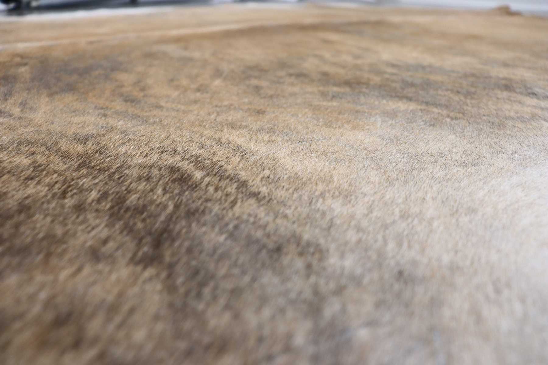 Light Brown White Brindle (6.8 X 6.5 ft.) Exact As Photo BRAZILIAN Cowhide Rug | 100% Natural Cowhide Area Rug | Real Leather Cow Skin Rug | BZ255