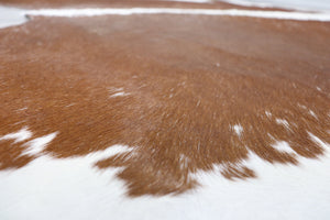 Brown White (6.1 X 6.7 ft.) Exact As Photo BRAZILIAN Cowhide Rug | 100% Natural Cowhide Area Rug | Real Leather Cow Skin Rug | BZ261