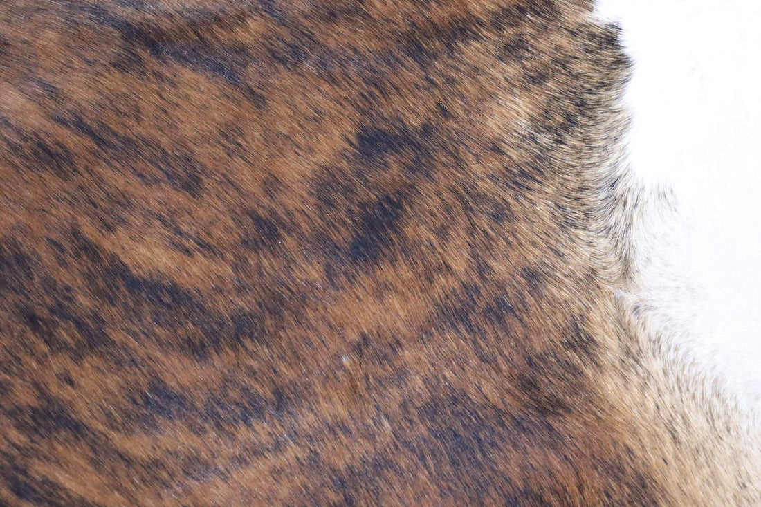 Brown White Brindle (6.8 X 6.3 ft.) Exact As Photo BRAZILIAN Cowhide Rug | 100% Natural Cowhide Area Rug | Real Leather Cow Skin Rug | BZ264