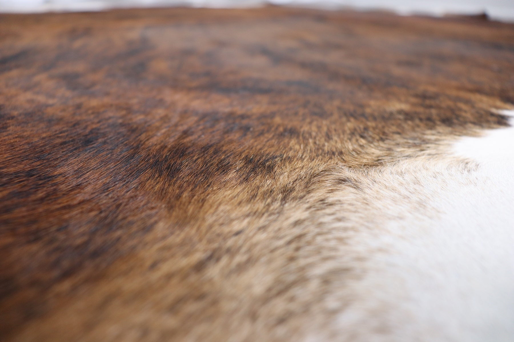 Brown White Brindle (6.8 X 6.3 ft.) Exact As Photo BRAZILIAN Cowhide Rug | 100% Natural Cowhide Area Rug | Real Leather Cow Skin Rug | BZ264