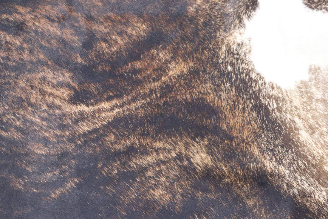 Tricolor Brindle (6.8 X 6.9 ft.) Exact As Photo BRAZILIAN Cowhide Rug | 100% Natural Cowhide Area Rug | Real Leather Cow Skin Rug | BZ271