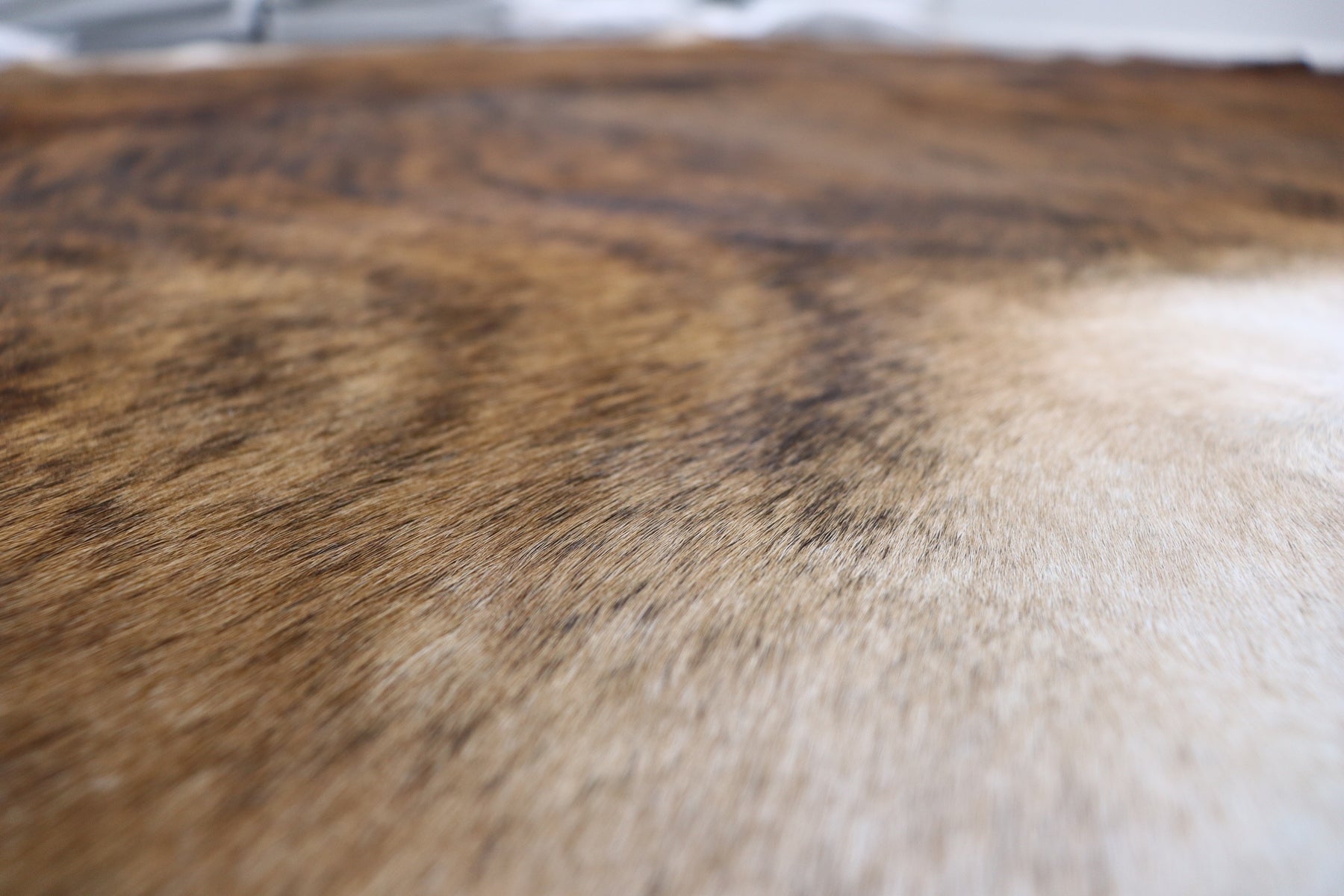Tricolor Brindle (6.9 X 5.10 ft.) Exact As Photo BRAZILIAN Cowhide Rug | 100% Natural Cowhide Area Rug | Real Leather Cow Skin Rug | BZ272
