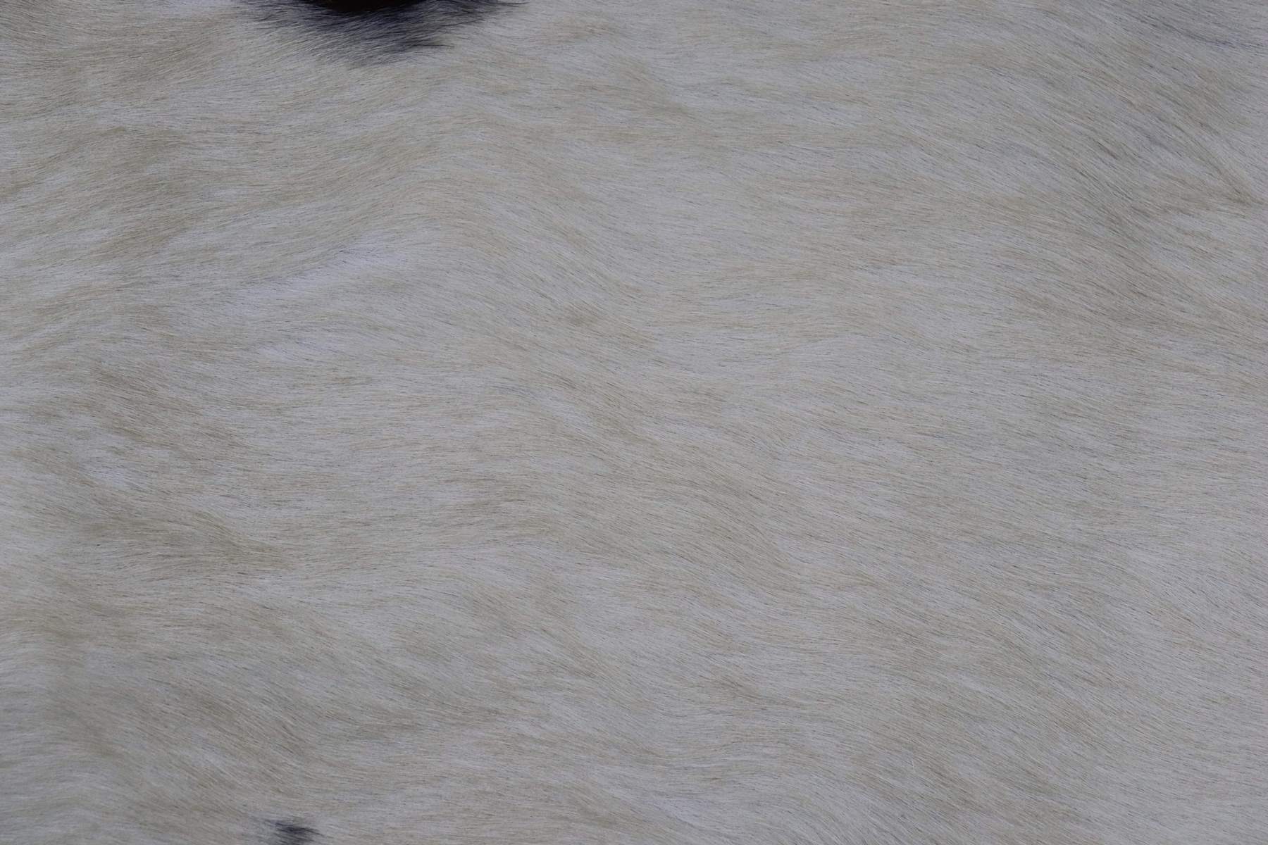 Brown White (7 X 6.8 ft.) Exact As Photo BRAZILIAN Cowhide Rug | 100% Natural Cowhide Area Rug | Real Leather Cow Skin Rug | BZ281