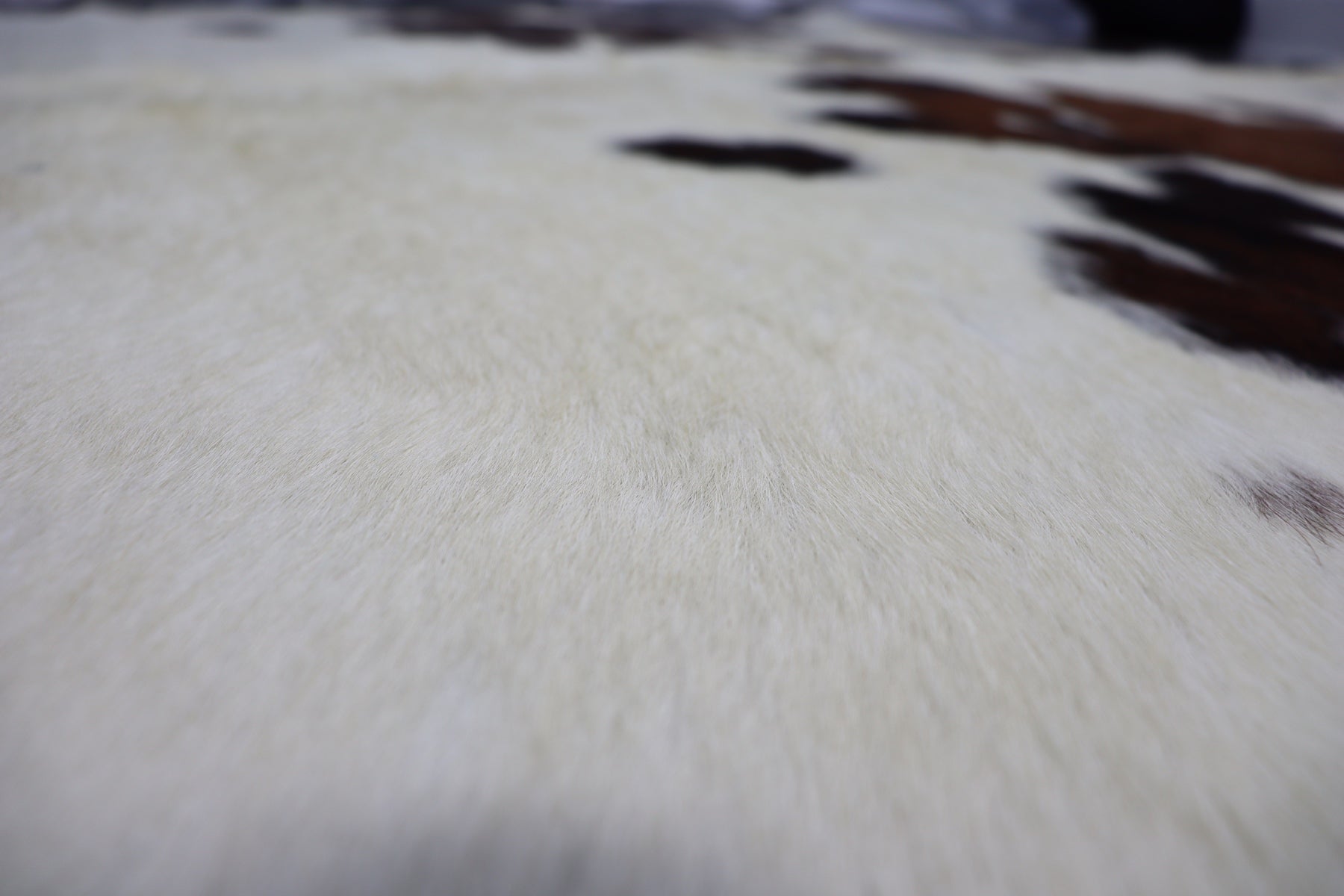 Brown White (7 X 6.8 ft.) Exact As Photo BRAZILIAN Cowhide Rug | 100% Natural Cowhide Area Rug | Real Leather Cow Skin Rug | BZ281
