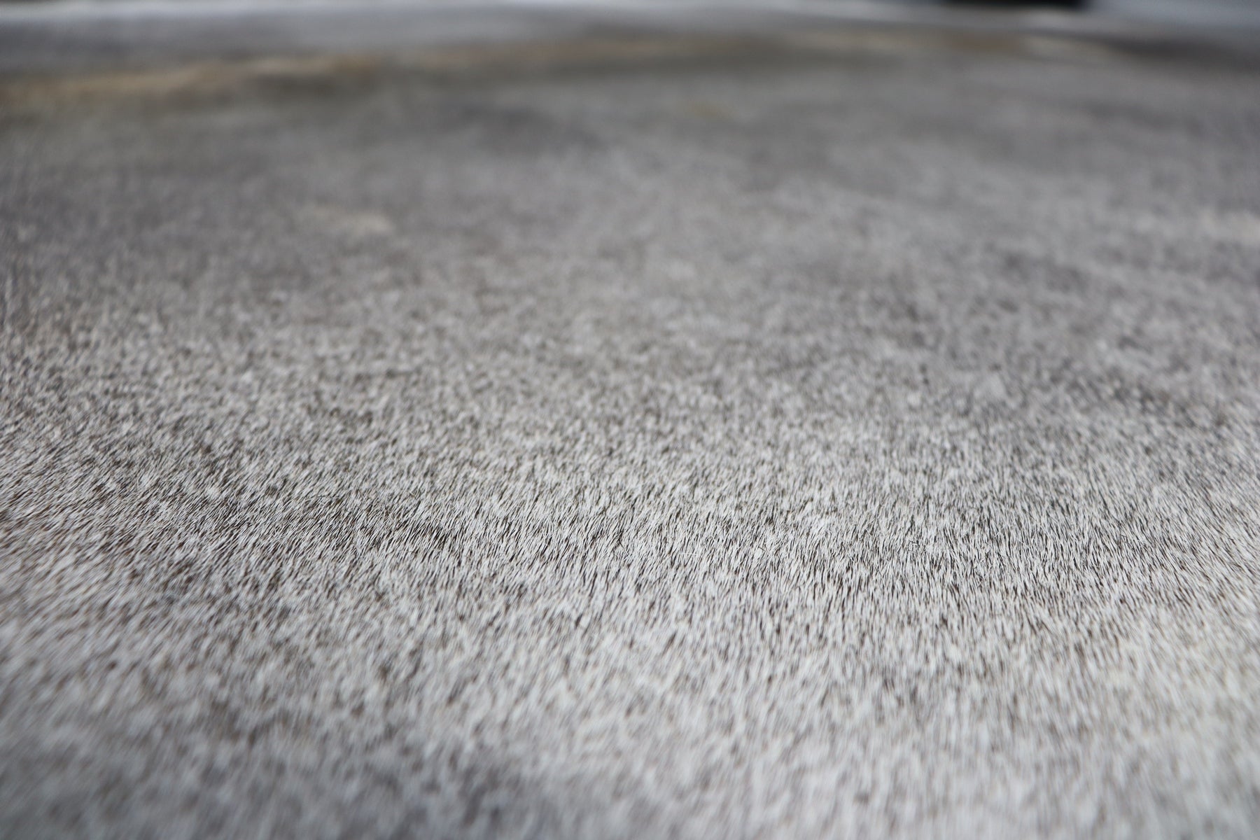 Gray (6.5 X 6.11 ft.) Exact As Photo BRAZILIAN Cowhide Rug | 100% Natural Cowhide Area Rug | Real Leather Cow Skin Rug | BZ282
