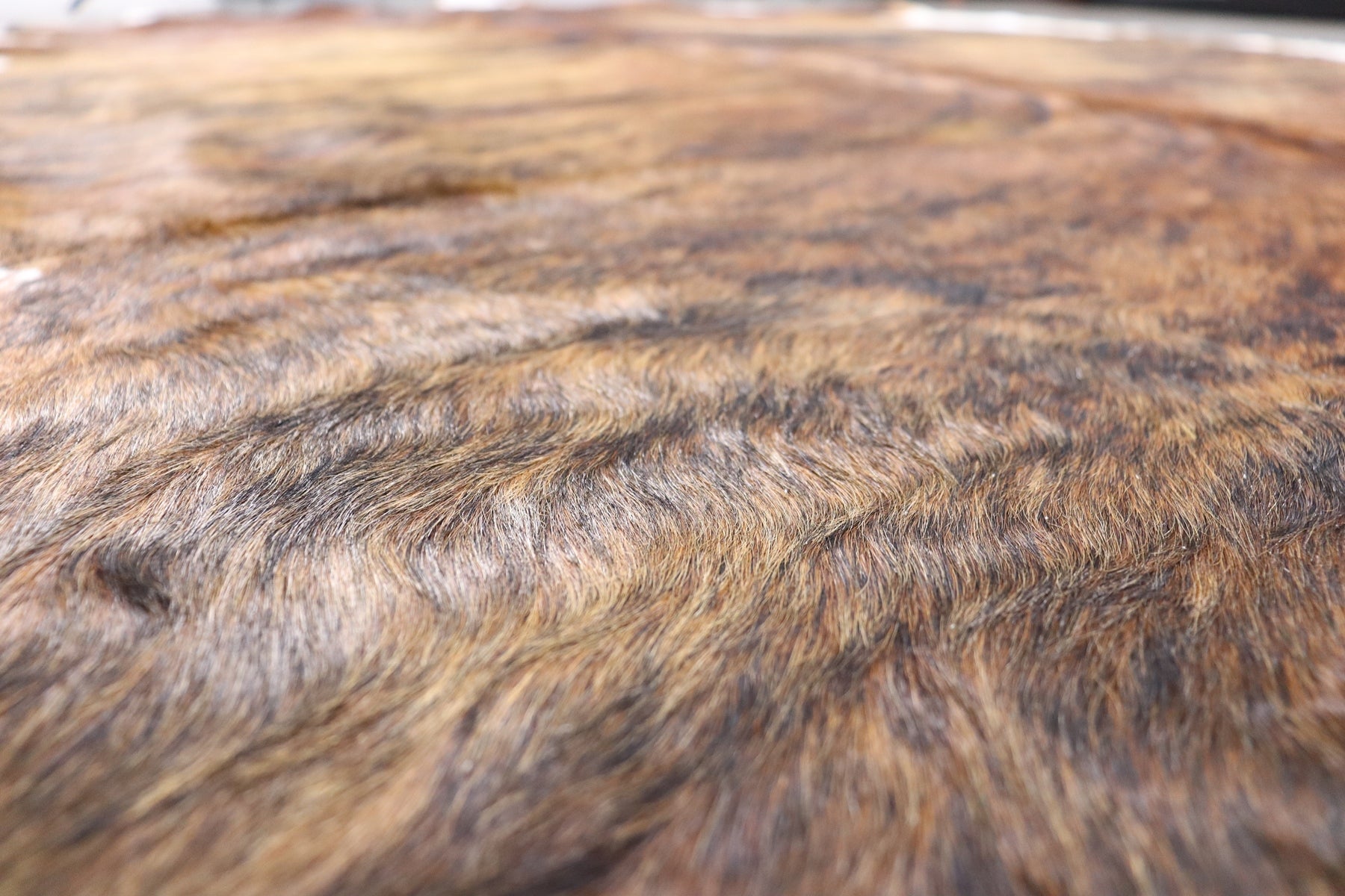 Tricolor Brindle (6.8 X 5.9 ft.) Exact As Photo BRAZILIAN Cowhide Rug | 100% Natural Cowhide Area Rug | Real Leather Cow Skin Rug | BZ292