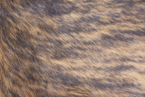 Tricolor Brindle (7 X 6.3 ft.) Exact As Photo BRAZILIAN Cowhide Rug | 100% Natural Cowhide Area Rug | Real Leather Cow Skin Rug | BZ294