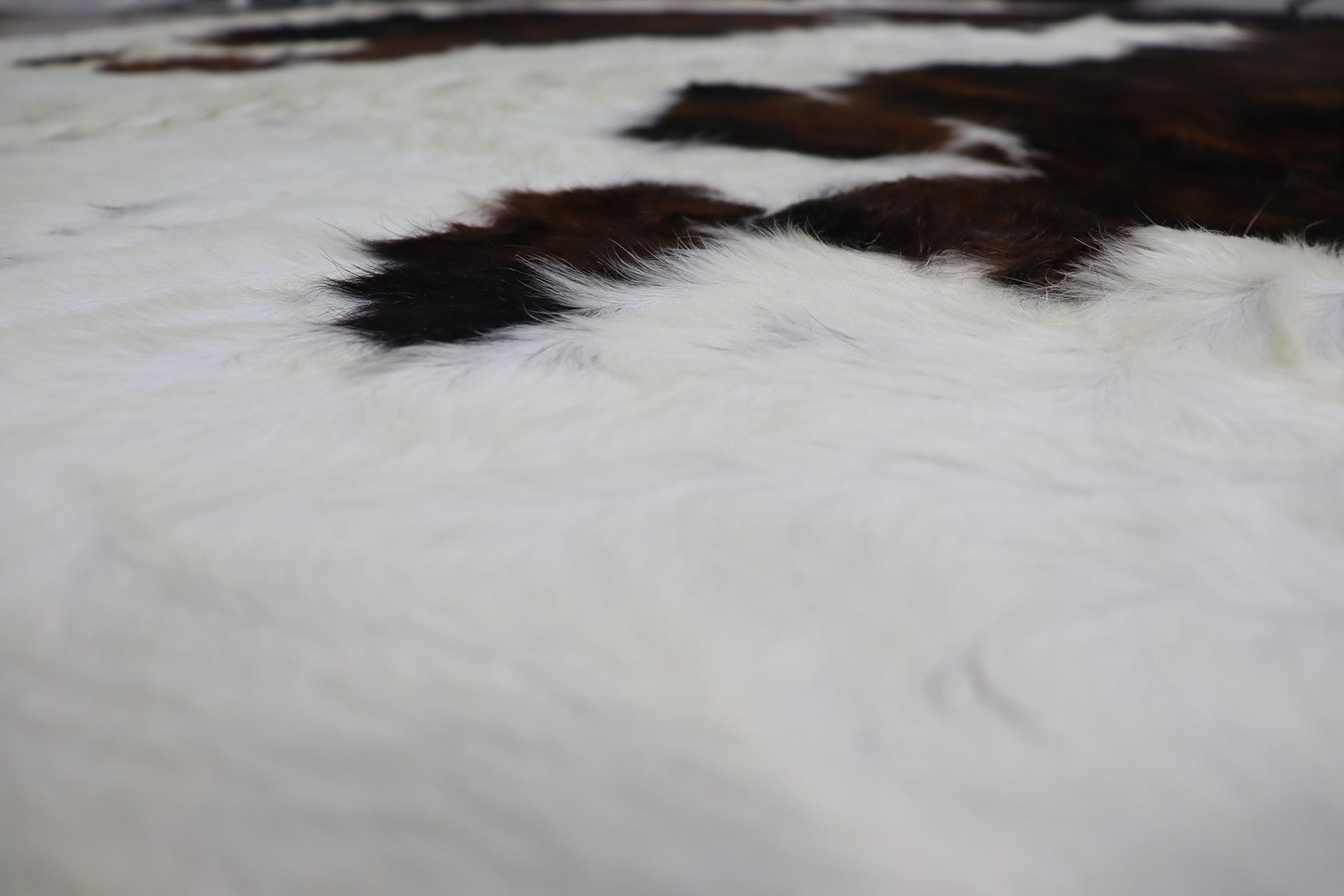 Tricolor (6.11 X 5.3 ft.) Exact As Photo BRAZILIAN Cowhide Rug | 100% Natural Cowhide Area Rug | Real Leather Cow Skin Rug | BZ297