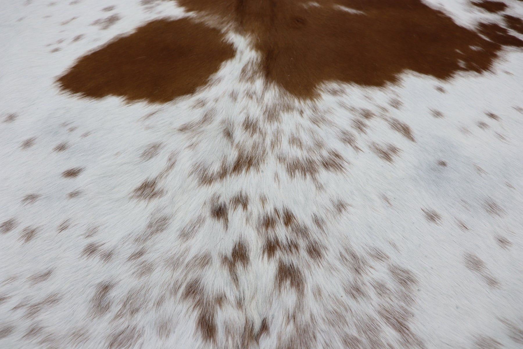 Brown White (6.7 X 6.5 ft.) Exact As Photo BRAZILIAN Cowhide Rug | 100% Natural Cowhide Area Rug | Real Leather Cow Skin Rug | BZ304