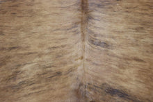 Load image into Gallery viewer, Brown Brindle (6.10 X 6.6 ft.) Exact As Photo BRAZILIAN Cowhide Rug | 100% Natural Cowhide Area Rug | Real Leather Cow Skin Rug | BZ307
