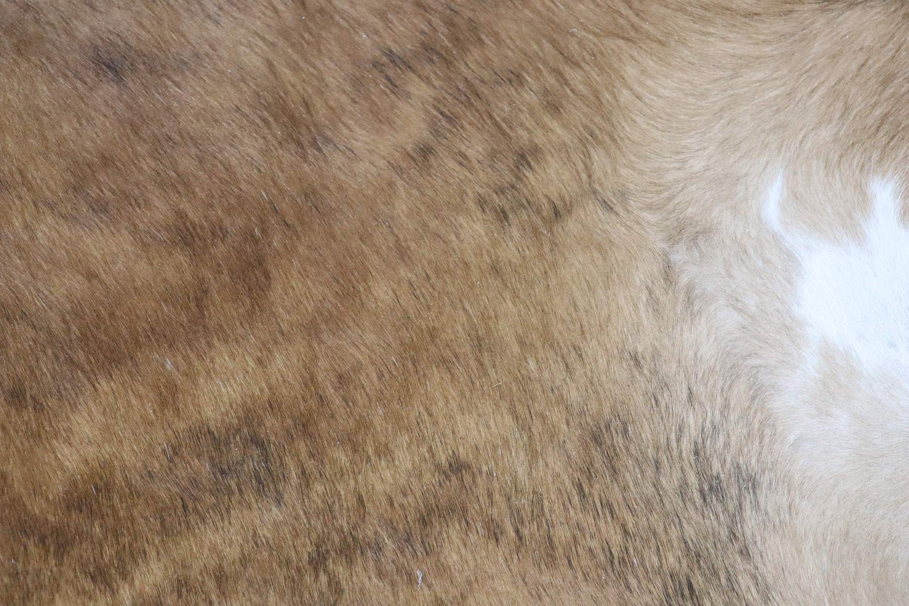 Brown Brindle (6.10 X 6.6 ft.) Exact As Photo BRAZILIAN Cowhide Rug | 100% Natural Cowhide Area Rug | Real Leather Cow Skin Rug | BZ307