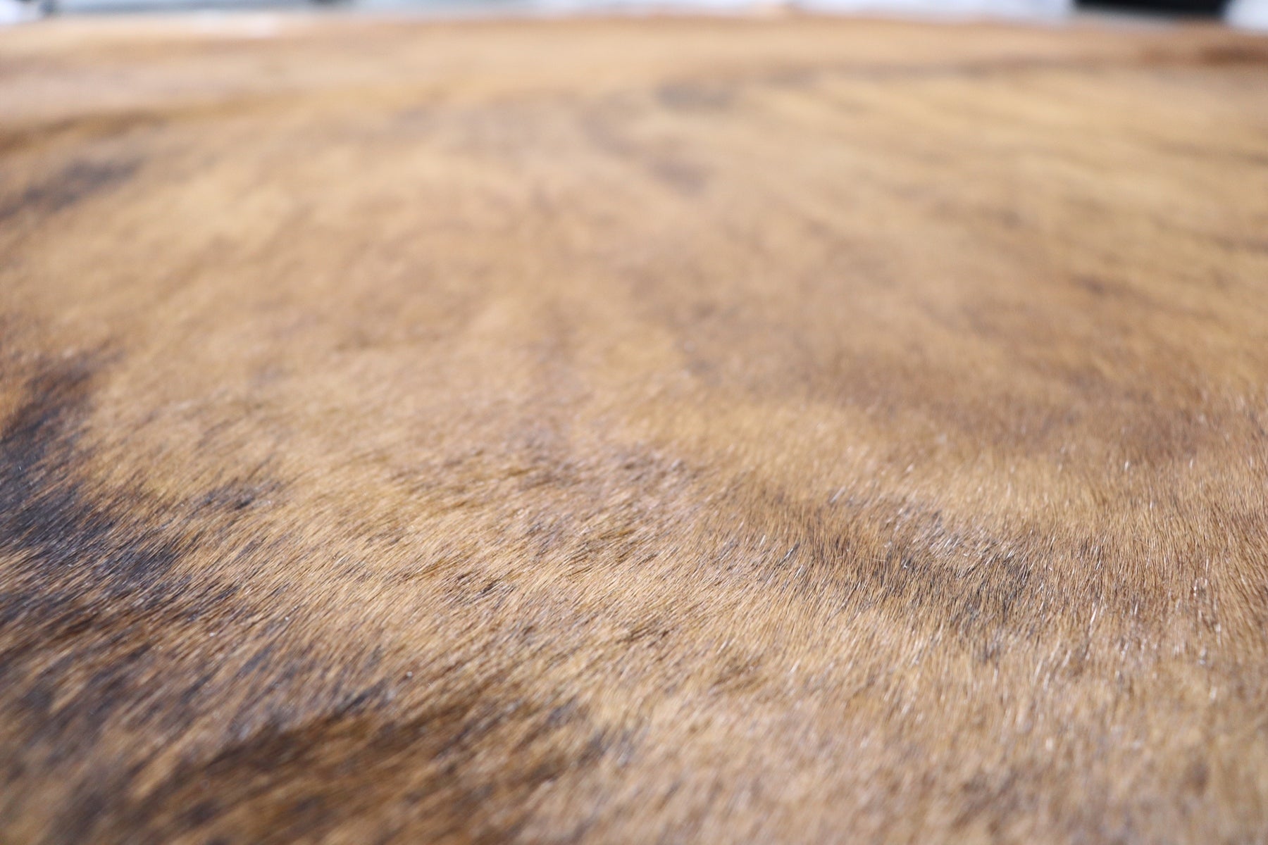 Brown Brindle (6.10 X 6.6 ft.) Exact As Photo BRAZILIAN Cowhide Rug | 100% Natural Cowhide Area Rug | Real Leather Cow Skin Rug | BZ307