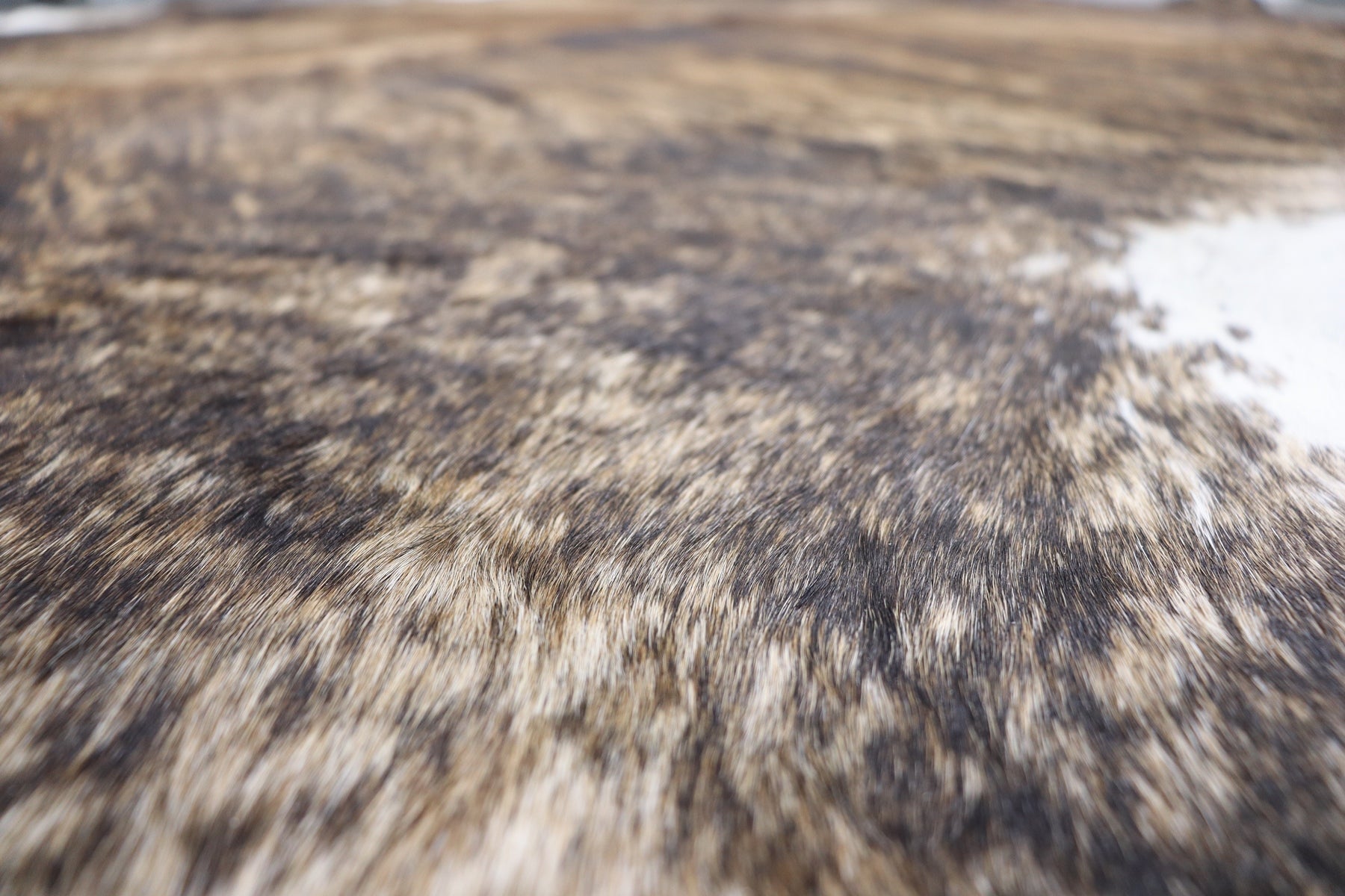 Tricolor Brindle (6.3 X 5.9 ft.) Exact As Photo BRAZILIAN Cowhide Rug | 100% Natural Cowhide Area Rug | Real Leather Cow Skin Rug | BZ308