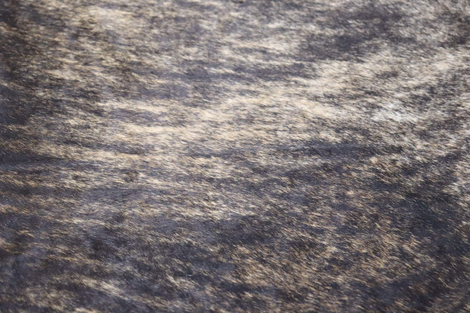 Tricolor Brindle (6.7 X 6.6 ft.) Exact As Photo BRAZILIAN Cowhide Rug | 100% Natural Cowhide Area Rug | Real Leather Cow Skin Rug | BZ309