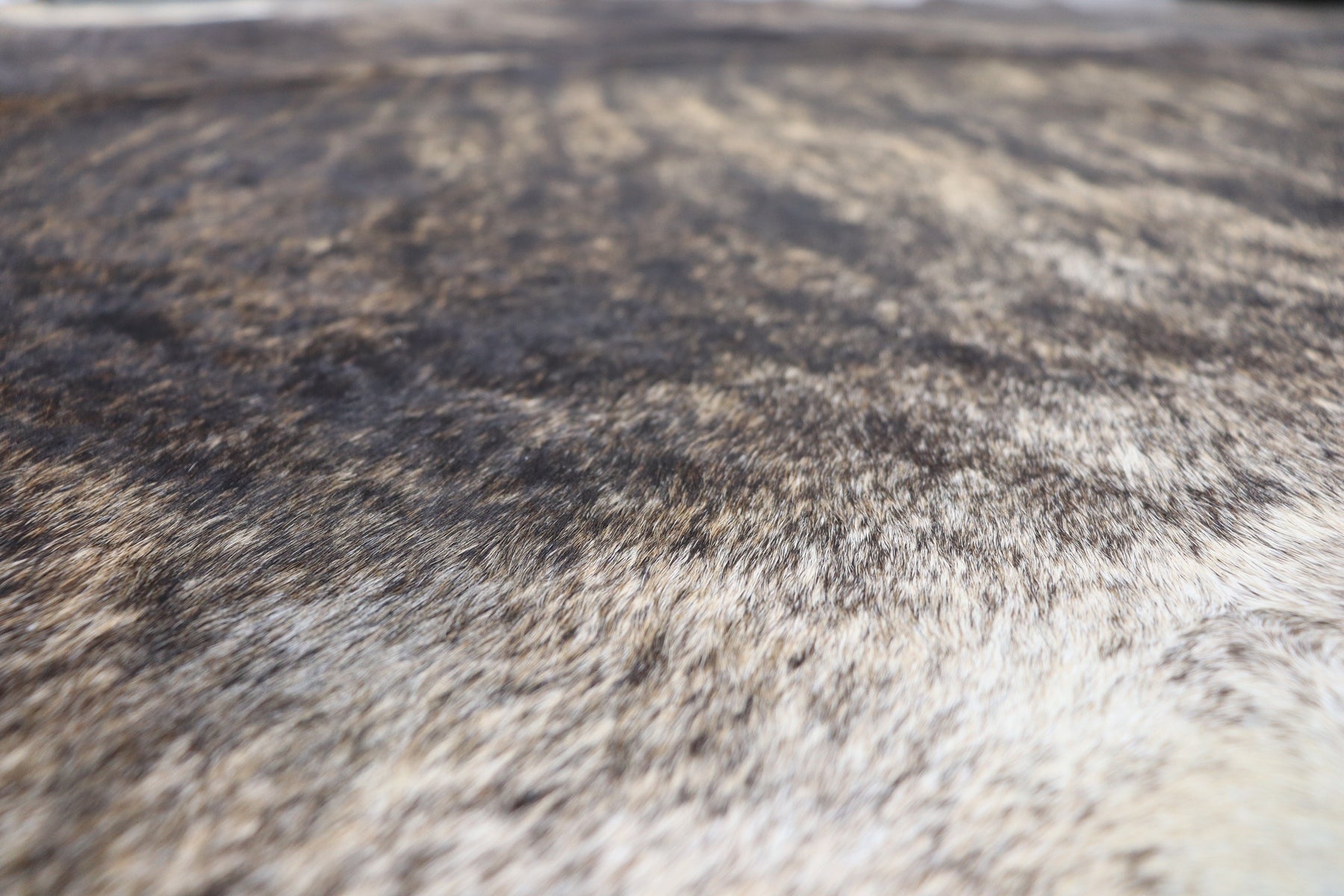 Tricolor Brindle (6.7 X 6.6 ft.) Exact As Photo BRAZILIAN Cowhide Rug | 100% Natural Cowhide Area Rug | Real Leather Cow Skin Rug | BZ309