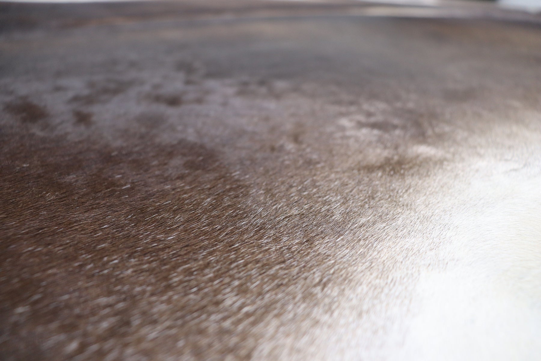 Tricolor (6.5 X 5.11 ft.) Exact As Photo BRAZILIAN Cowhide Rug | 100% Natural Cowhide Area Rug | Real Leather Cow Skin Rug | BZ312