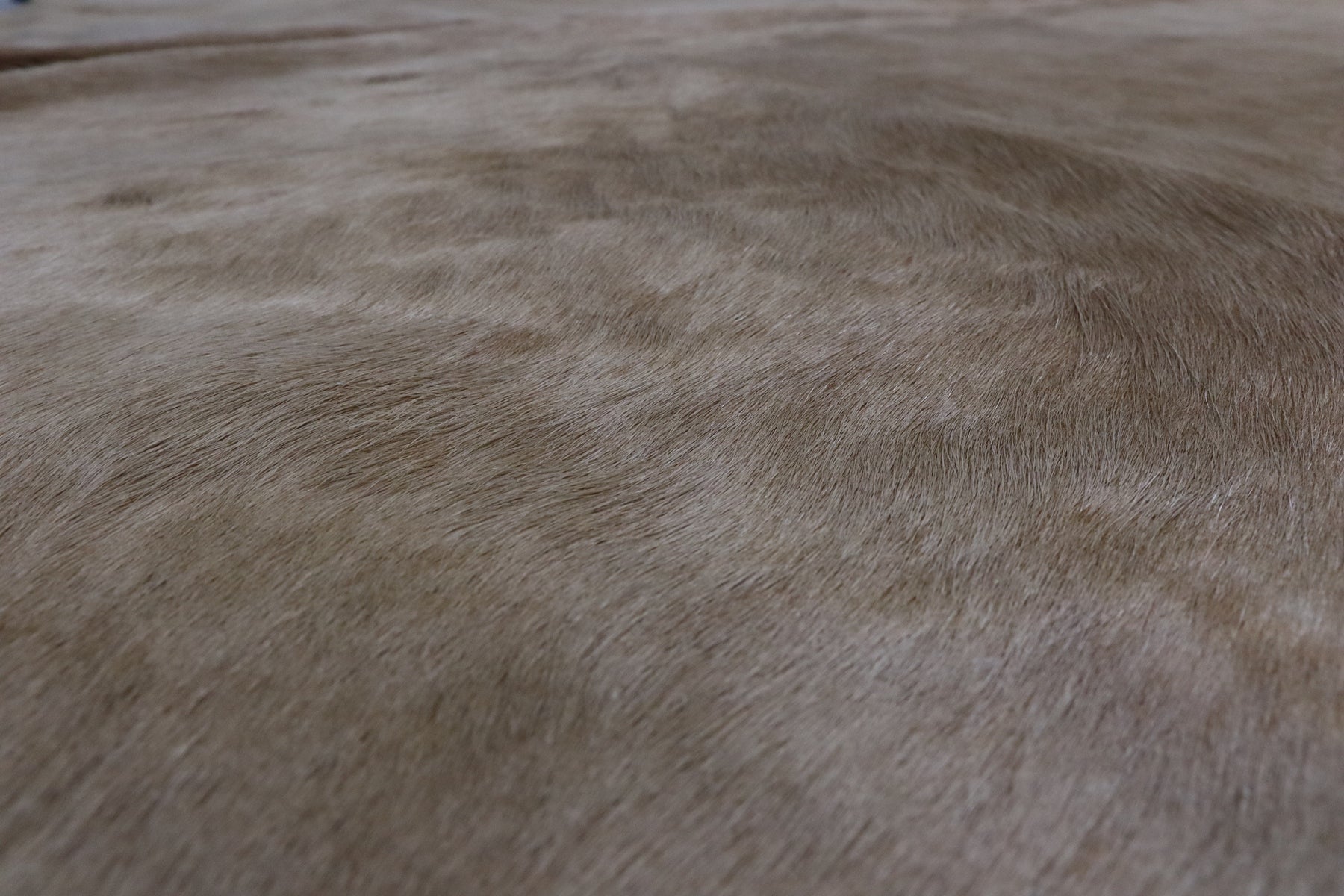 Light Brown (6.6 X 6.7 ft.) Exact As Photo BRAZILIAN Cowhide Rug | 100% Natural Cowhide Area Rug | Real Leather Cow Skin Rug | BZ314